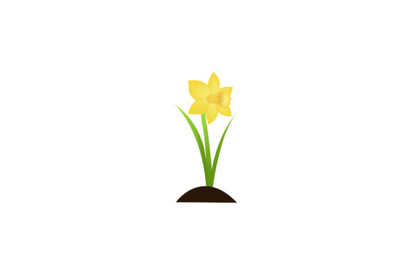 Houseplant Collection Illustration Review for Real Projects